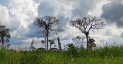 Fazenda com 25 mil hectares em Área Rural de Araxá – Araxá – MG