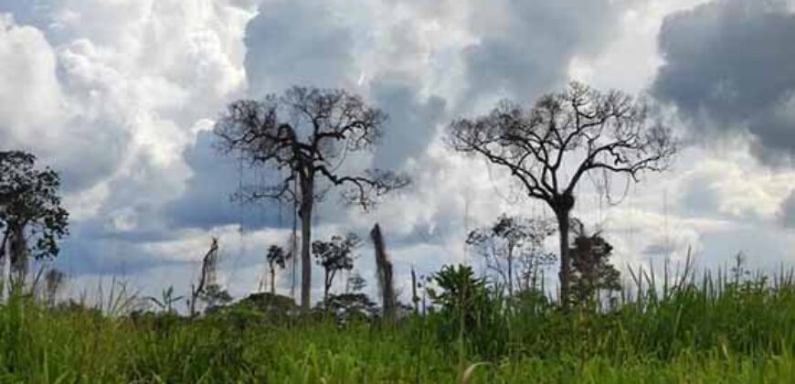 Fazenda com 25 mil hectares em Área Rural de Araxá – Araxá – MG