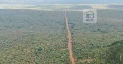 Fazenda Dupla Aptidão na zona rural de Fortaleza dos Nogueiras – MA