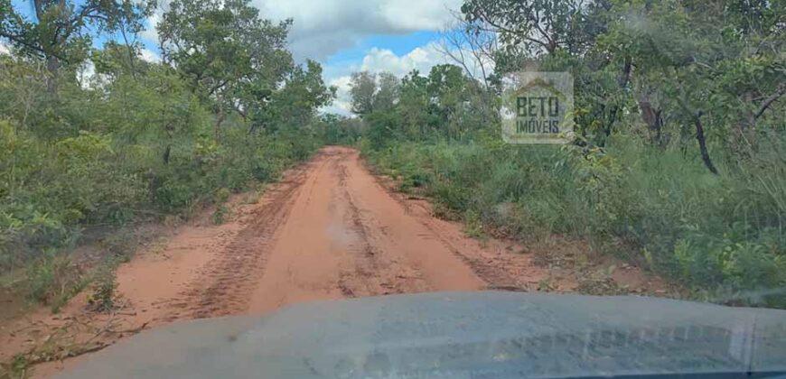 Fazenda Dupla Aptidão na zona rural de Fortaleza dos Nogueiras – MA