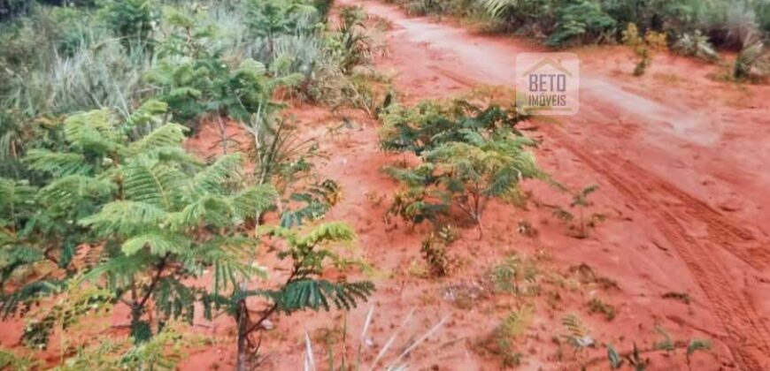 Fazenda Dupla Aptidão na zona rural de Fortaleza dos Nogueiras – MA