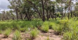 Fazenda Dupla Aptidão na zona rural de Fortaleza dos Nogueiras – MA