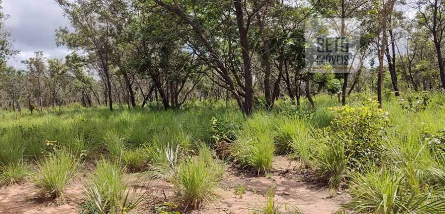 Fazenda Dupla Aptidão na zona rural de Fortaleza dos Nogueiras – MA