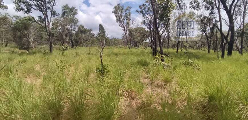 Fazenda Dupla Aptidão na zona rural de Fortaleza dos Nogueiras – MA