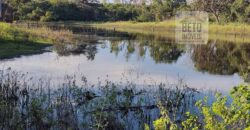 Fazenda Dupla Aptidão na zona rural de Fortaleza dos Nogueiras – MA