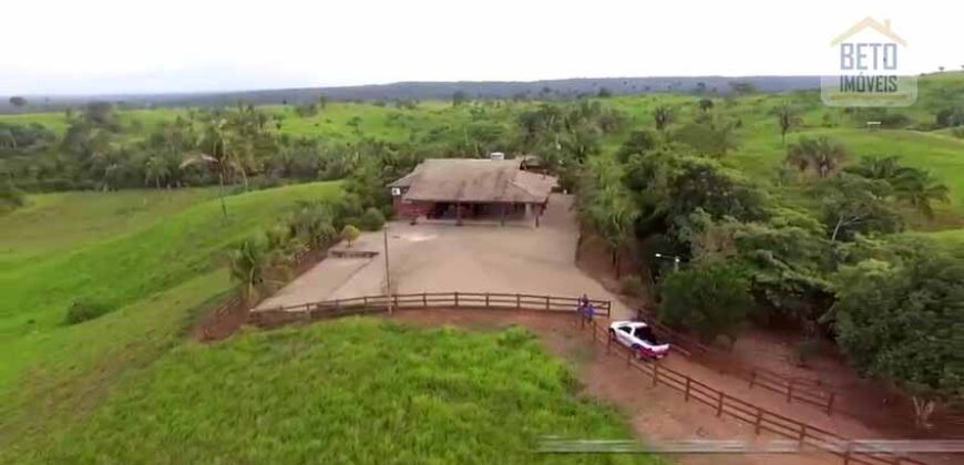 Fazenda para Lavoura 1350 alqueires | Área Rural de Marabá – PA