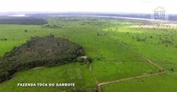 Fazenda para Lavoura 1350 alqueires | Área Rural de Marabá – PA