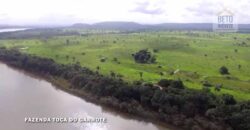 Fazenda para Lavoura 1350 alqueires | Área Rural de Marabá – PA