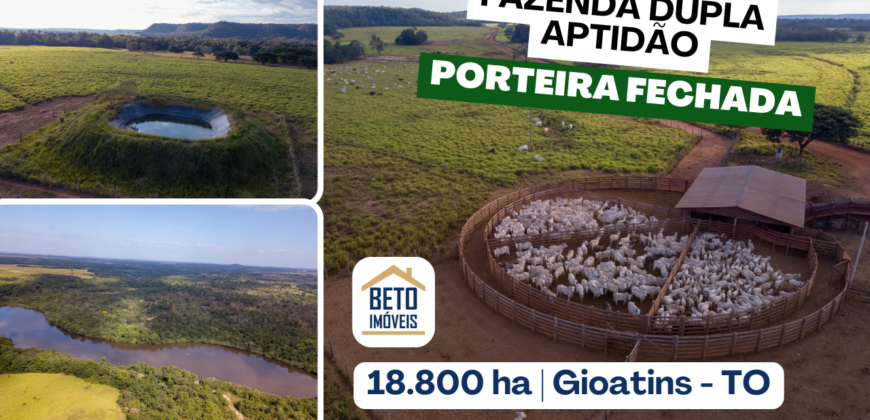 Fazenda Dupla Aptidão Lavoura e Pasto com 18.800 hectares | Zona Rural de Goiatins/ TO