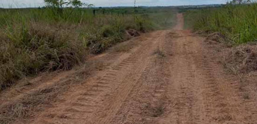 Fazenda para pastagem com 7500 cabeças de gado e próximo à cidade | Marabá – PA