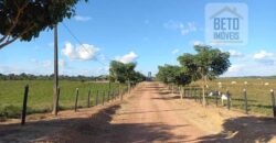 Fazenda para pastagem com 7500 cabeças de gado e próximo à cidade | Marabá – PA