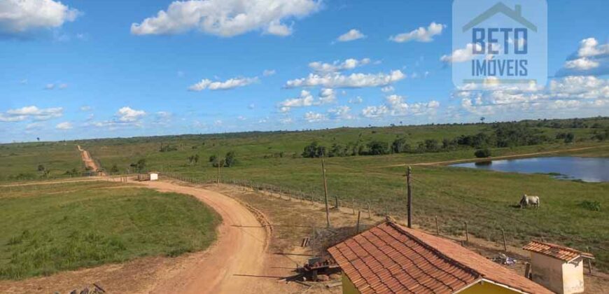 Fazenda para pastagem com 7500 cabeças de gado e próximo à cidade | Marabá – PA