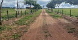 Fazenda para pastagem com 7500 cabeças de gado e próximo à cidade | Marabá – PA