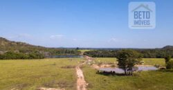 Fazenda Dupla Aptidão Lavoura e Pasto com 18.800 hectares | Zona Rural de Goiatins/ TO