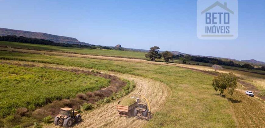 Fazenda Dupla Aptidão Lavoura e Pasto com 18.800 hectares | Zona Rural de Goiatins/ TO