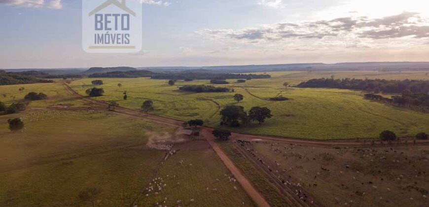 Fazenda Dupla Aptidão Lavoura e Pasto com 18.800 hectares | Zona Rural de Goiatins/ TO