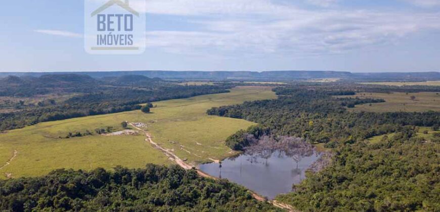 Fazenda Dupla Aptidão Lavoura e Pasto com 18.800 hectares | Zona Rural de Goiatins/ TO