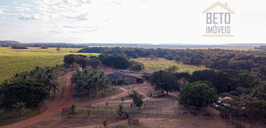 Fazenda Dupla Aptidão Lavoura e Pasto com 18.800 hectares | Zona Rural de Goiatins/ TO