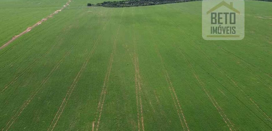 Fazenda à Venda c/  9.355 hectares com plantio, armazanemento e todo maquinário | Goaiatins/ TO