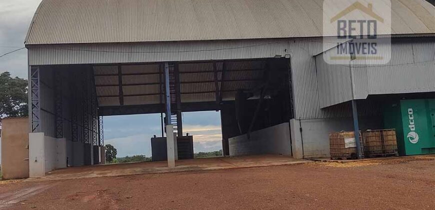 Fazenda à Venda c/  9.355 hectares com plantio, armazanemento e todo maquinário | Goaiatins/ TO