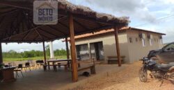 Fazenda à Venda c/  9.355 hectares com plantio, armazanemento e todo maquinário | Goaiatins/ TO