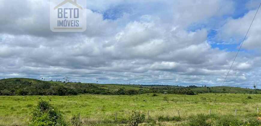 Fazenda Dupla Aptidão com represa, nascentes e 8 mil cabeças de gado | Uruará/ PA