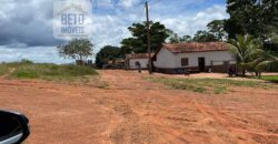 Fazenda Dupla Aptidão com represa, nascentes e 8 mil cabeças de gado | Uruará/ PA