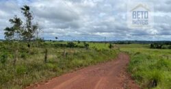 Fazenda Dupla Aptidão com represa, nascentes e 8 mil cabeças de gado | Uruará/ PA