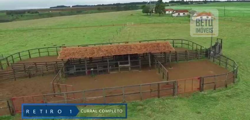 Fazenda c/ Barragens, Pastos e Lavouras Total de 2300 hectares | Araxá/ MG