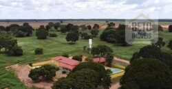 Excelente Fazenda à venda 3.665 ha com 100% pastagens cultivadas toda plana | João Pinheiro/ MG