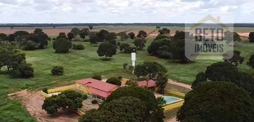 Excelente Fazenda à venda 3.665 ha com 100% pastagens cultivadas toda plana | João Pinheiro/ MG