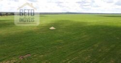 Excelente Fazenda à venda 3.665 ha com 100% pastagens cultivadas toda plana | João Pinheiro/ MG