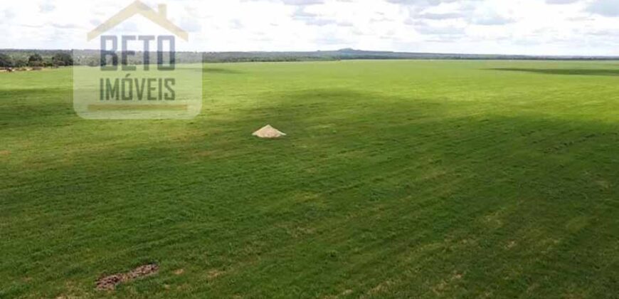 Excelente Fazenda à venda 3.665 ha com 100% pastagens cultivadas toda plana | João Pinheiro/ MG