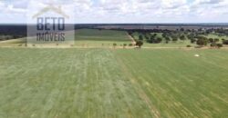 Excelente Fazenda à venda 3.665 ha com 100% pastagens cultivadas toda plana | João Pinheiro/ MG