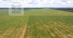 Excelente Fazenda à venda 3.665 ha com 100% pastagens cultivadas toda plana | João Pinheiro/ MG