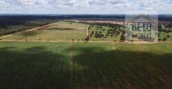 Excelente Fazenda à venda 3.665 ha com 100% pastagens cultivadas toda plana | João Pinheiro/ MG