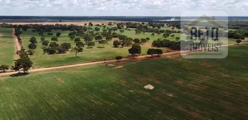 Excelente Fazenda à venda 3.665 ha com 100% pastagens cultivadas toda plana | João Pinheiro/ MG