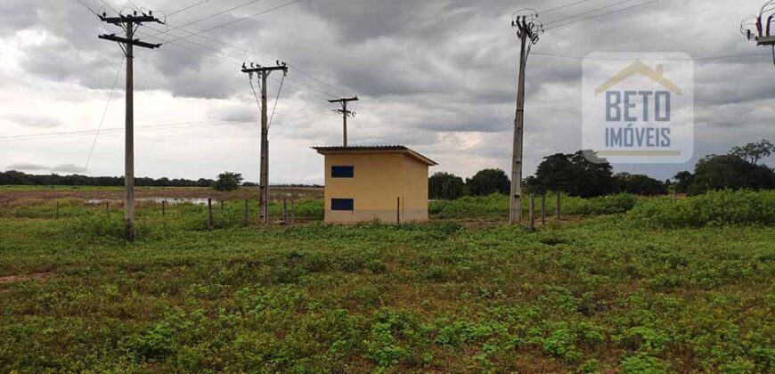 Oportunidade Única! Fazenda para Agricultura e Pecuária 2.132 Ha Localização estratégica | Norte de Minas Gerais