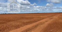 Excelente Fazenda à venda 3.665 ha com 100% pastagens cultivadas toda plana | João Pinheiro/ MG