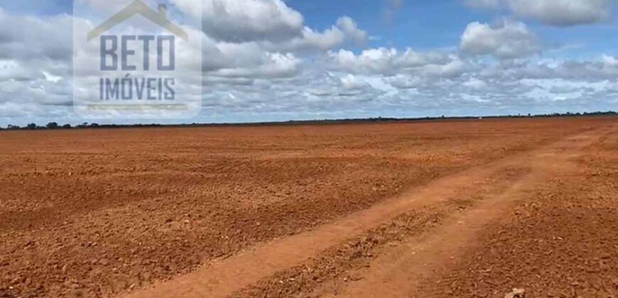 Excelente Fazenda à venda 3.665 ha com 100% pastagens cultivadas toda plana | João Pinheiro/ MG