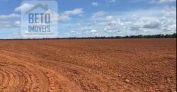 Excelente Fazenda à venda 3.665 ha com 100% pastagens cultivadas toda plana | João Pinheiro/ MG