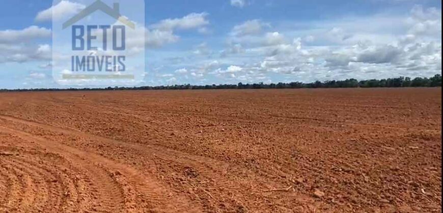 Excelente Fazenda à venda 3.665 ha com 100% pastagens cultivadas toda plana | João Pinheiro/ MG