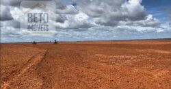 Excelente Fazenda à venda 3.665 ha com 100% pastagens cultivadas toda plana | João Pinheiro/ MG