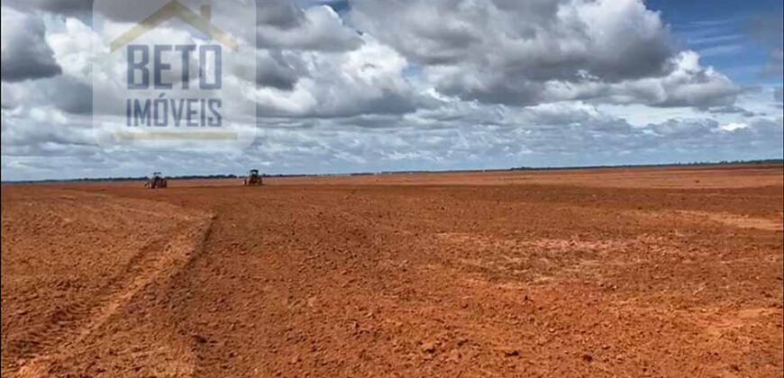 Excelente Fazenda à venda 3.665 ha com 100% pastagens cultivadas toda plana | João Pinheiro/ MG