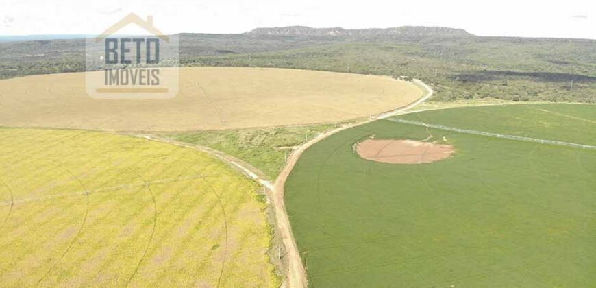 Oportunidade Única! Fazenda para Agricultura e Pecuária 2.132 Ha Localização estratégica | Norte de Minas Gerais