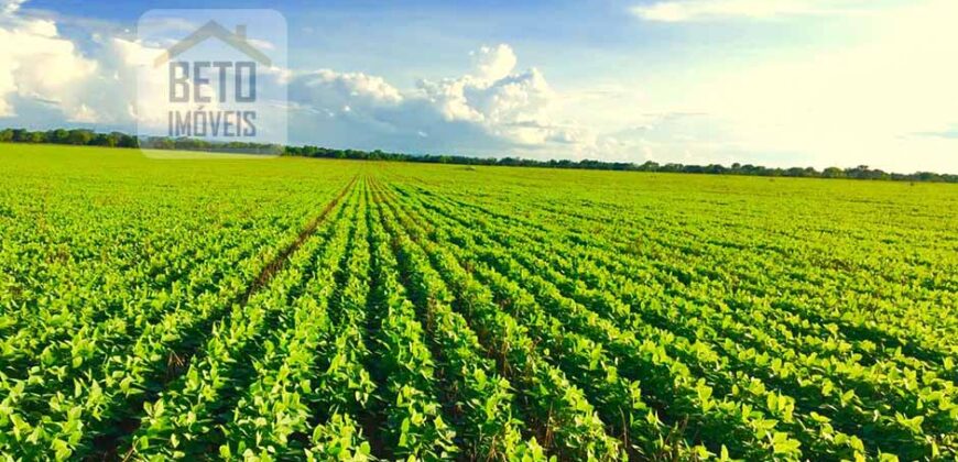 Oportunidade Única! Fazenda para Agricultura e Pecuária 2.132 Ha Localização estratégica | Norte de Minas Gerais