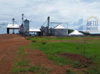 Fazenda 40 mil ha para lavoura estrutura pronta de armazenamento e irrigação | Região do Araguaia/ PA