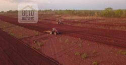 Excelente Fazenda 103 mil hectares Dupla Aptidão Ótima localização e estrutura | Itiquira/ MT