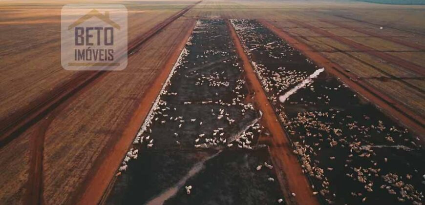 Excelente Fazenda 103 mil hectares Dupla Aptidão Ótima localização e estrutura | Itiquira/ MT