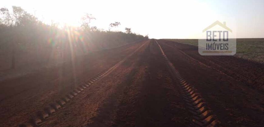 Excelente Fazenda 103 mil hectares Dupla Aptidão Ótima localização e estrutura | Itiquira/ MT